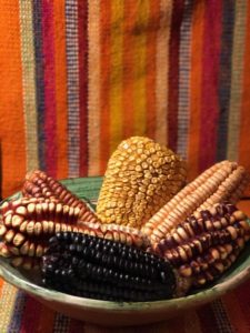 Várias espécies de milho, em Cusco no Peru