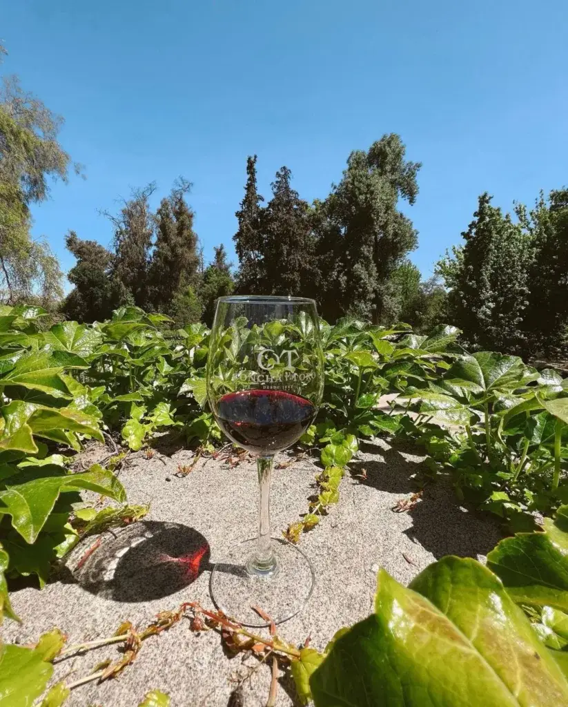 Vinícolas próximas a Santiago