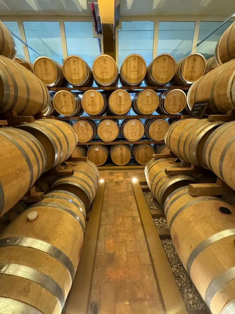 Vinícolas e vinhedos em Bento Gonçalves