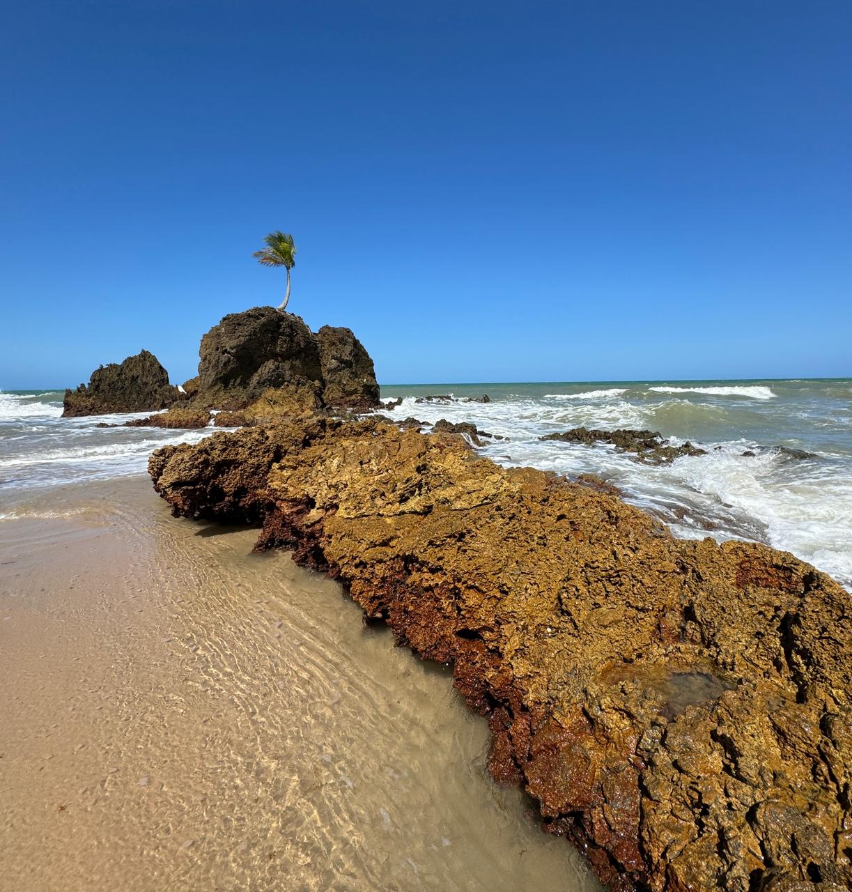 Praia de Tambaba em João Pessoa