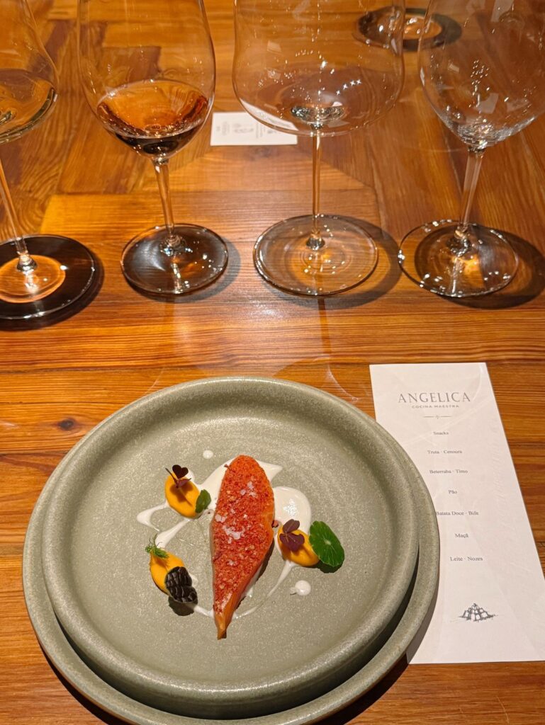 Angélica Cocina Maestra