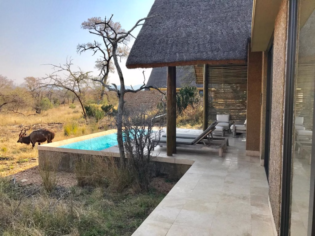Safari no Kruger Park - Kapama Southern Camp