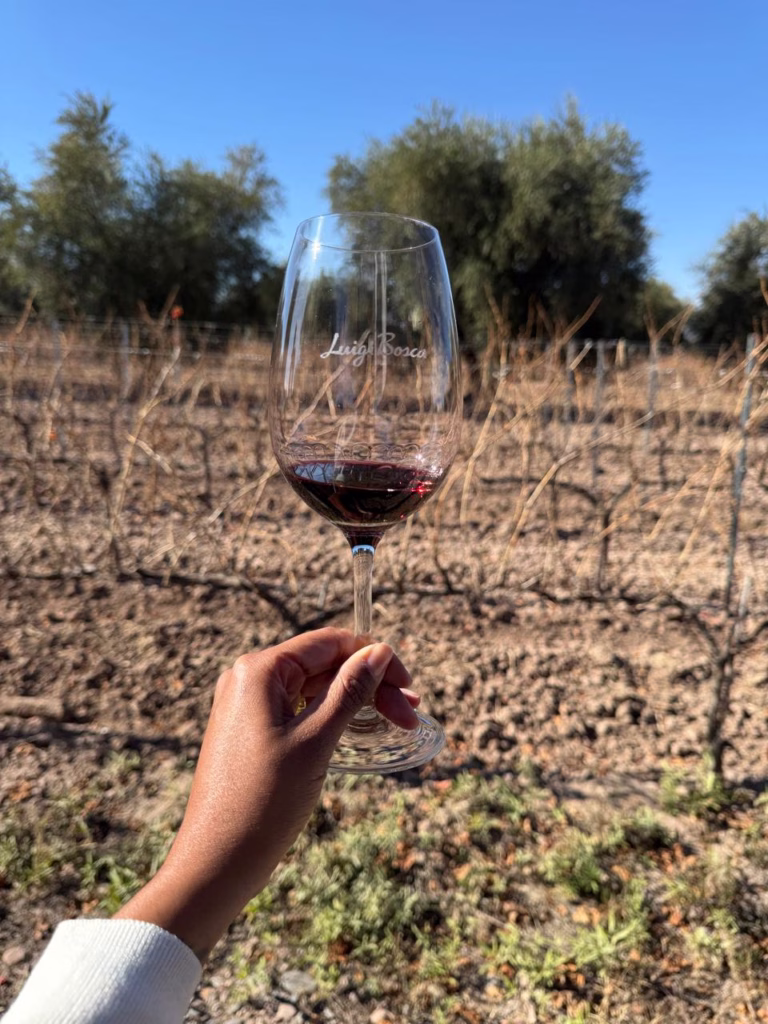 Mendoza ou Colchagua
