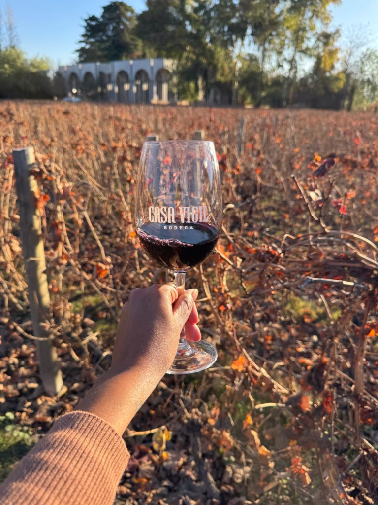 Mendoza ou Colchagua