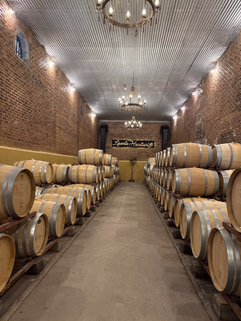 Mendoza ou Colchagua